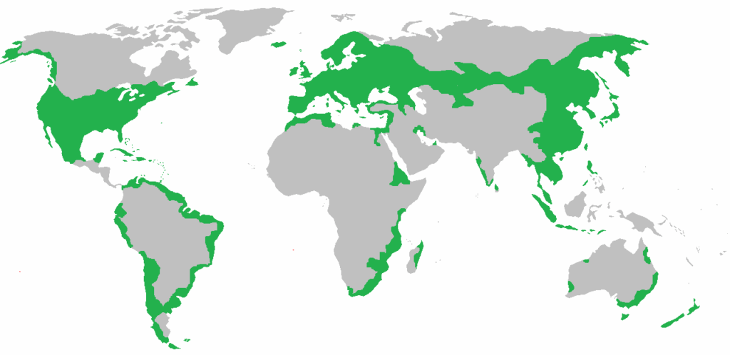 Global distribution of black rats, which explains why people sometimes find rats on a sailboat.