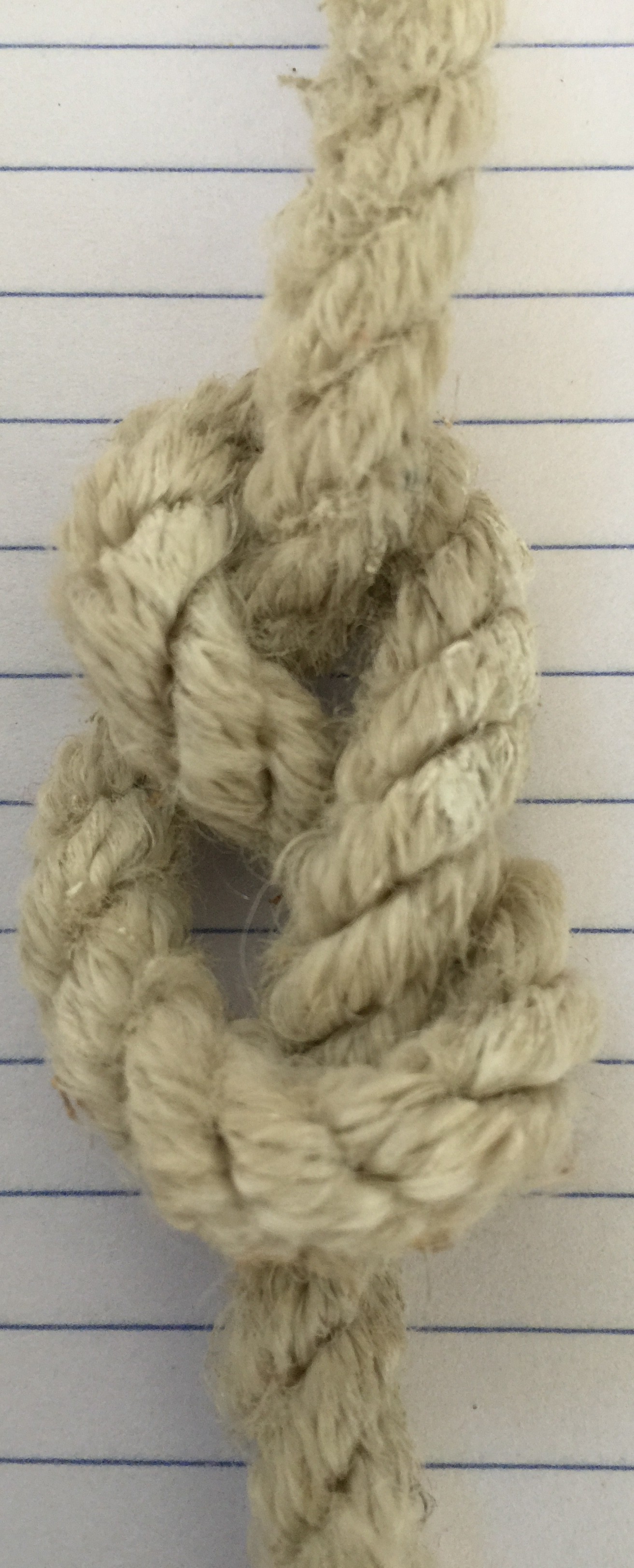 FIgure 8 Knot