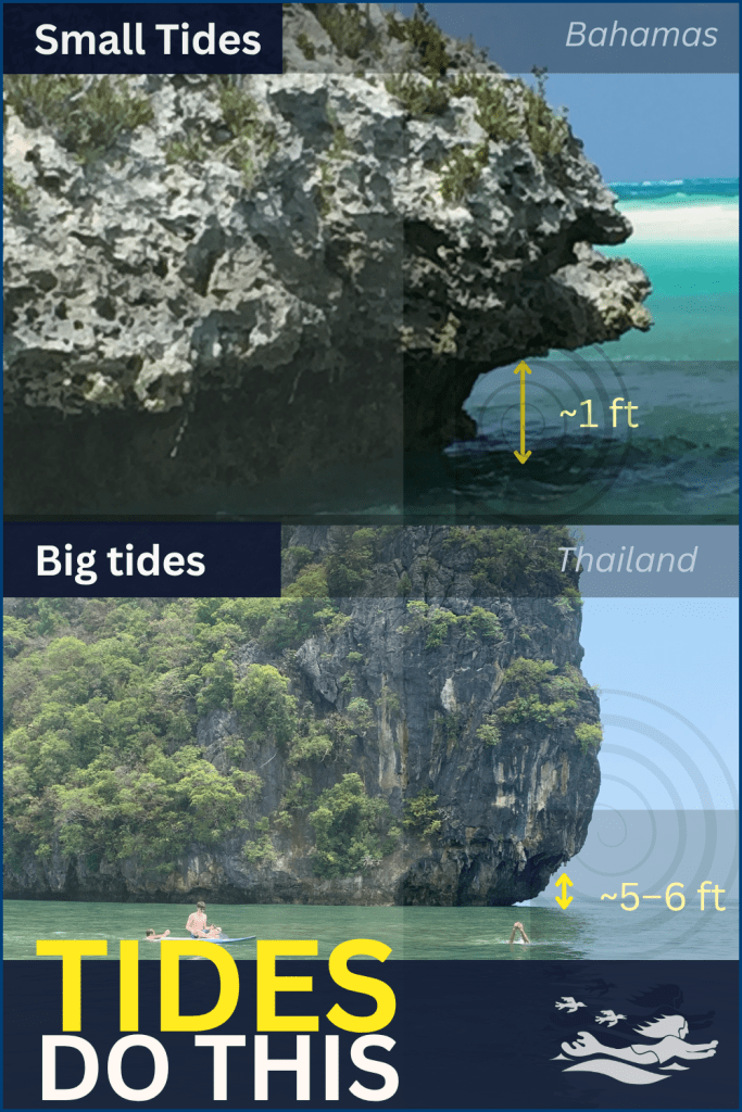 An image that compares evidence of tidal activity in the Bahamas versus Thailand.
