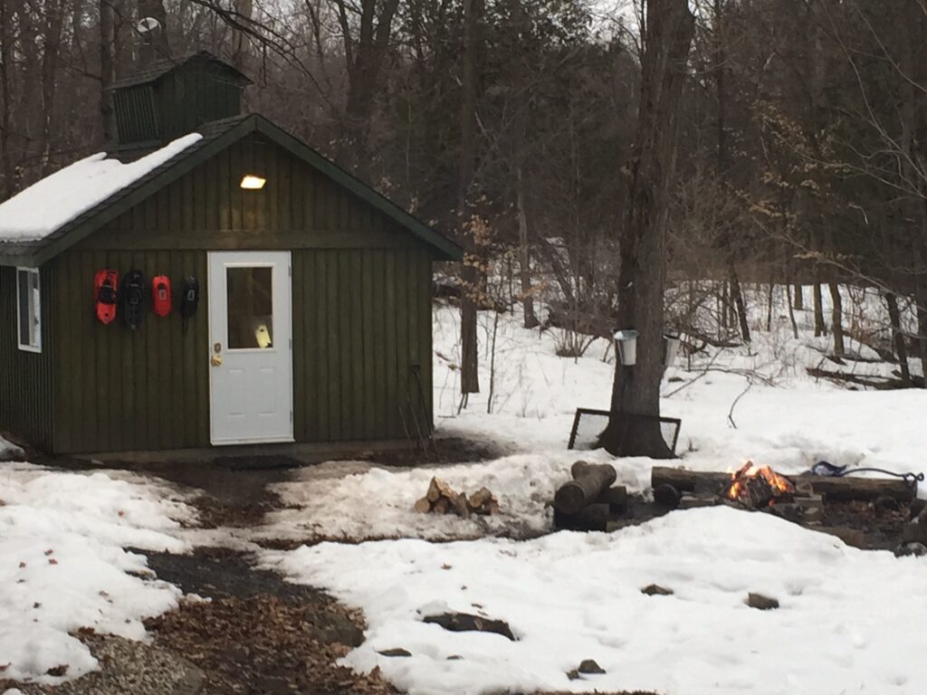 Making maple syrup at home: Our sugar shack