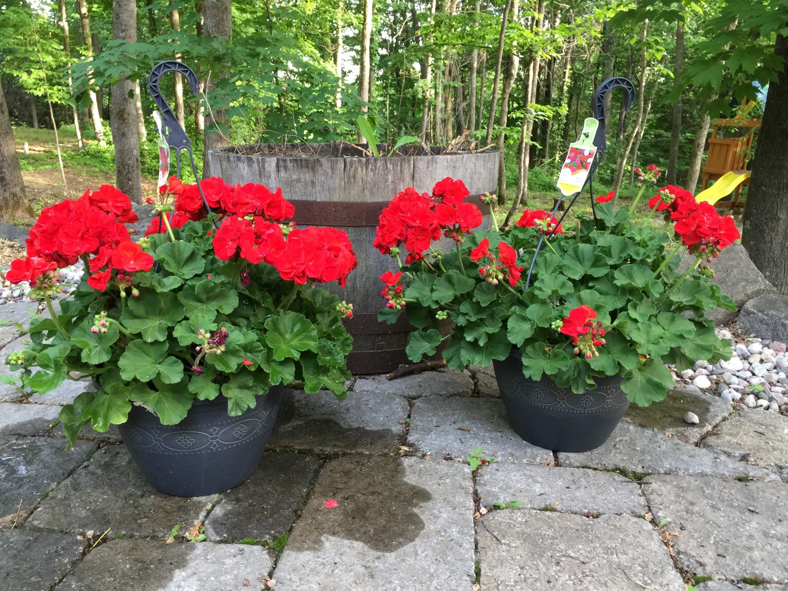 Preparing for our tenants’ visit