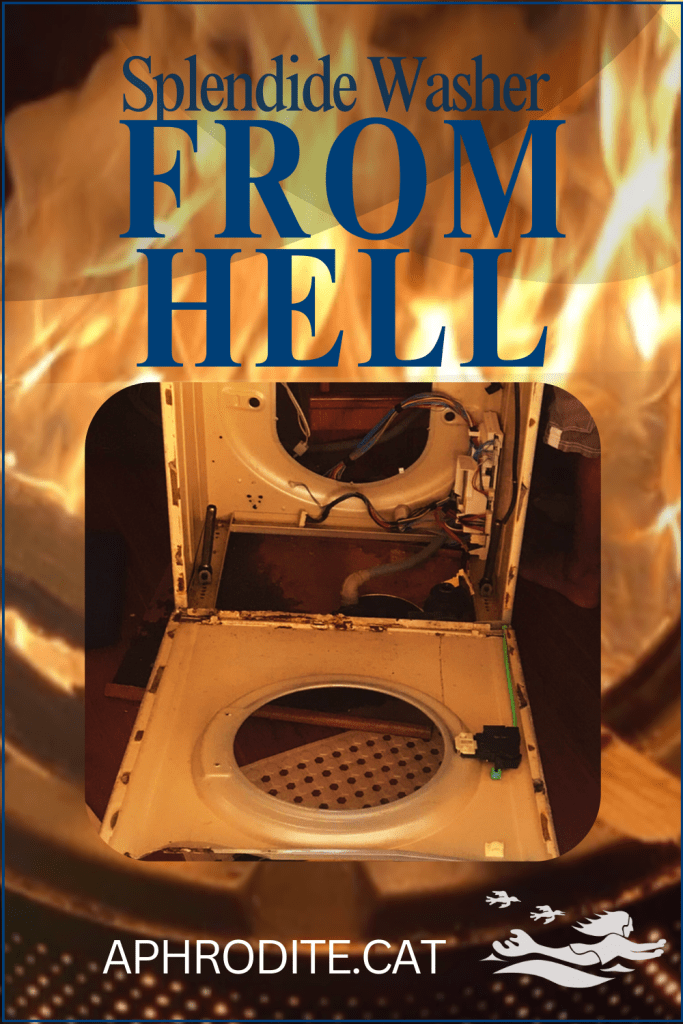 A picture of our Splendide washing machine disassembled for parts with a backdrop of a washing machine fire pit. It looks like an fiery inferno from hell. 