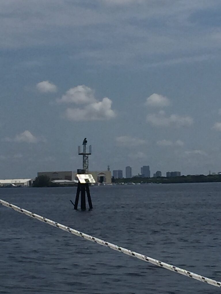 Becoming a sailor: marker in Tampa Bay