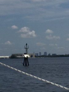 Alien skeleton or transit marker?