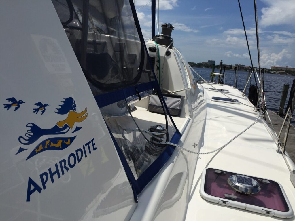 Catamaran Test Sail