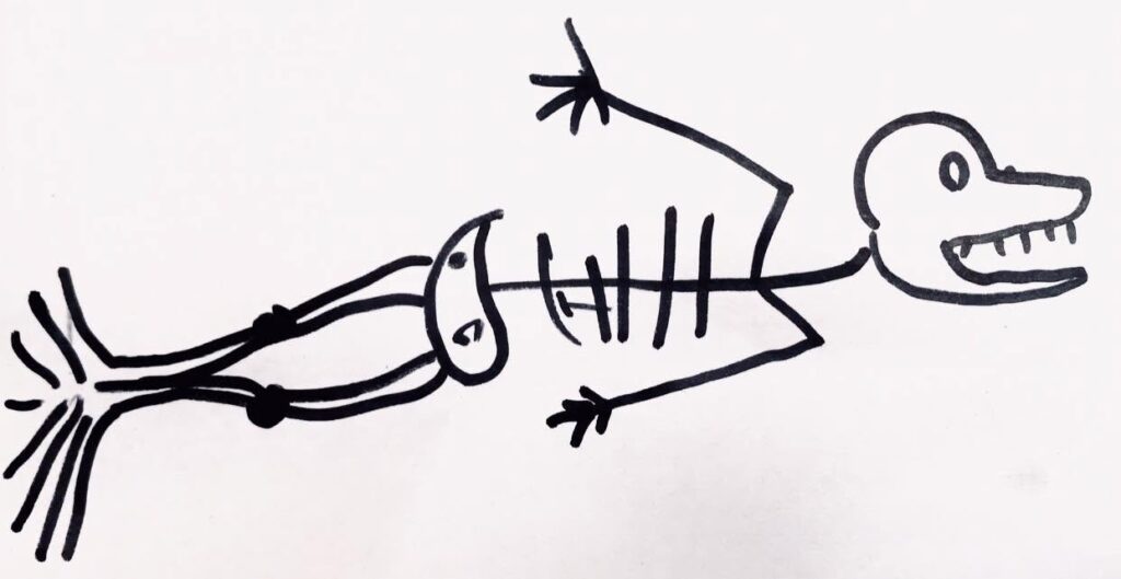 Whale Skeleton by Karen. This is how she says she used to imagine whale skeletons.