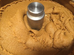 Chocolate pumpkin icecream, spiced just right.