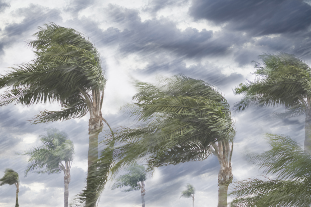 Tornado watch In Florida