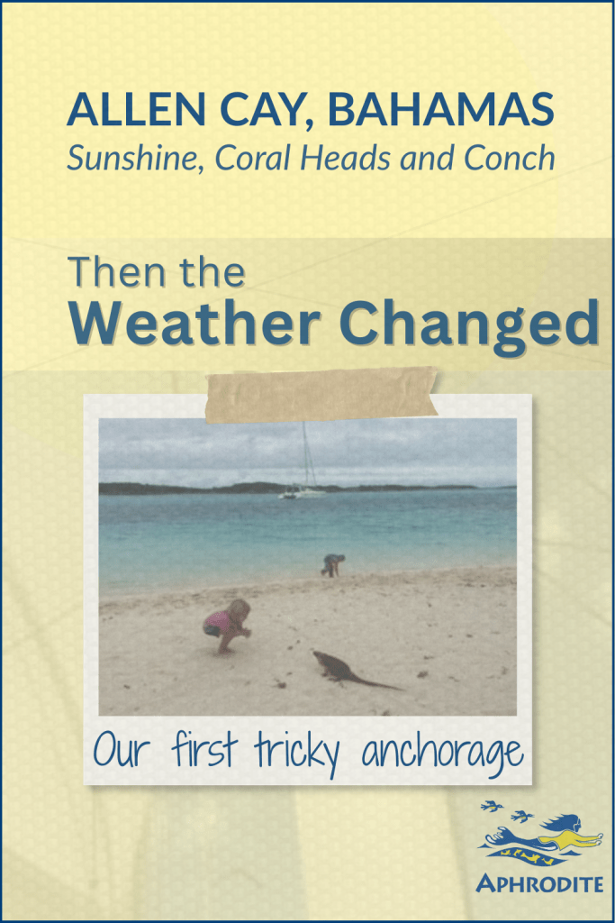 A polaroid of Karen with the rock iguanas of Allen Cay in the Exumas, Bahamas. The pin indicates that everything was going well until the weather changed.