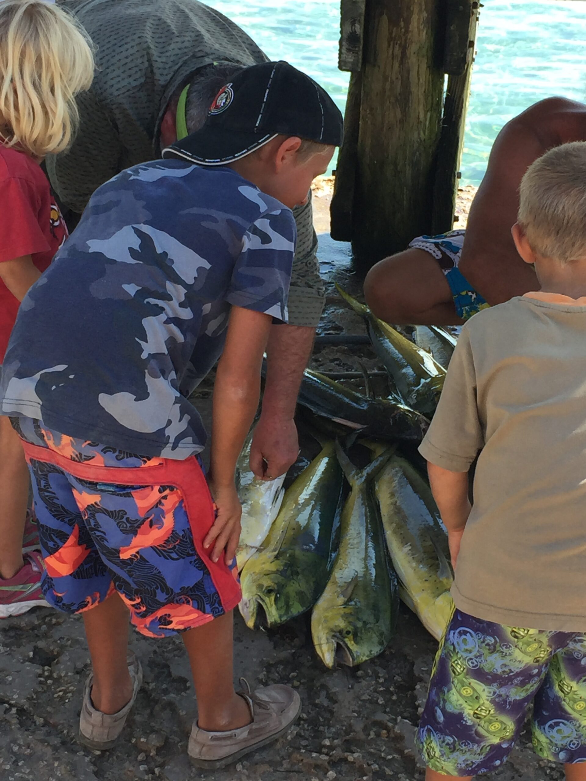 Pigs, Sharks, and Thunderball Grotto — Exploring the Exumas with Kids