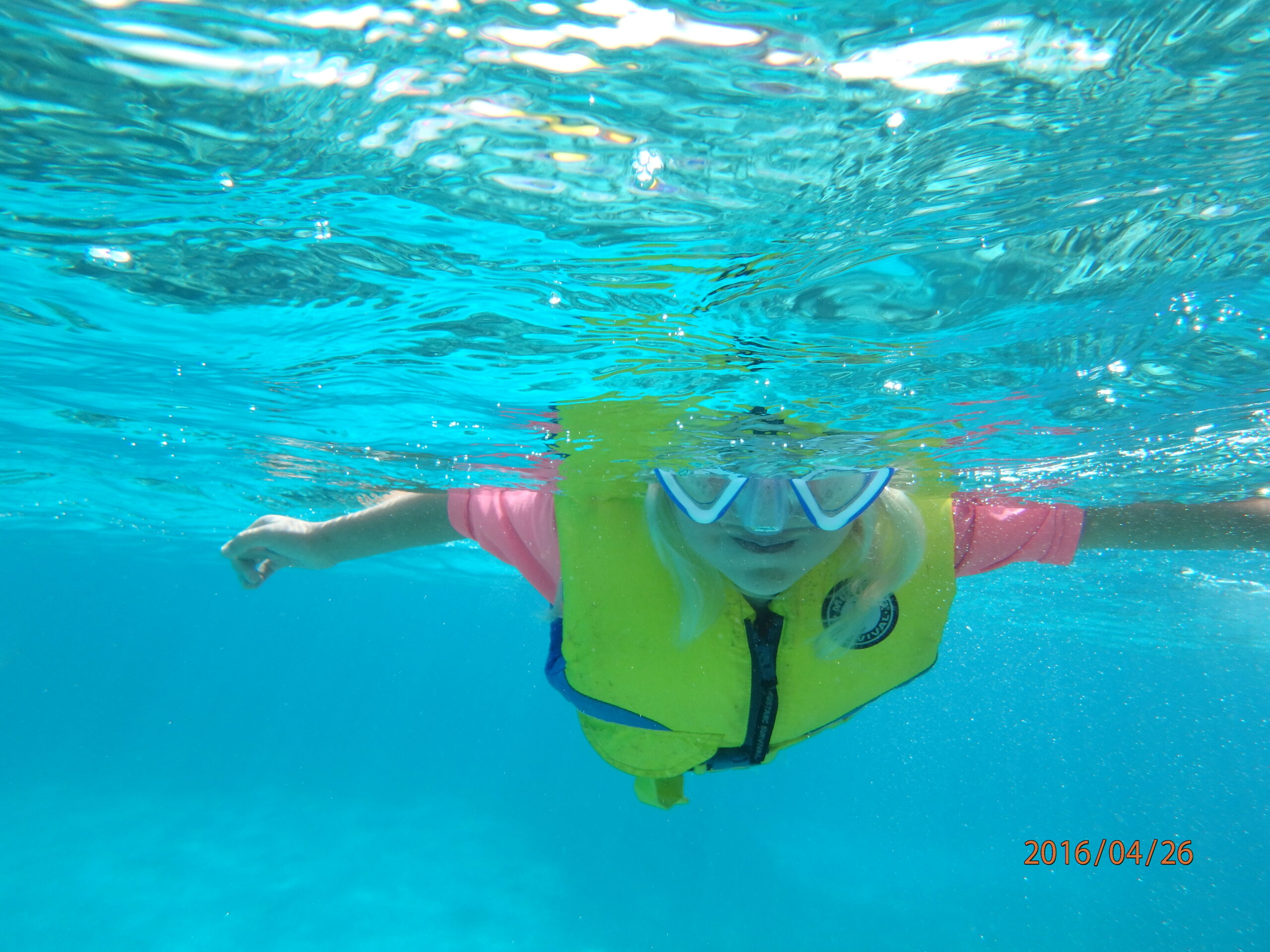 Swimming With a Wild Dolphin in the Bahamas — With Video