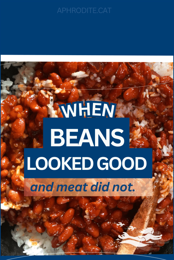 A photo of one of my many pinto bean meals made in Luperon, Dominican Republic in a style that mocks up the style of a Heinz baked bean tin.