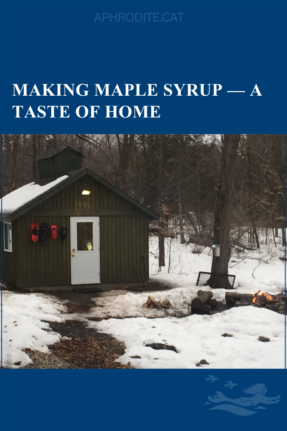 Our sugar shack outside our house in Carp, which is near Ottawa, Canada. This is where we made maple syrup in our own backyard.
