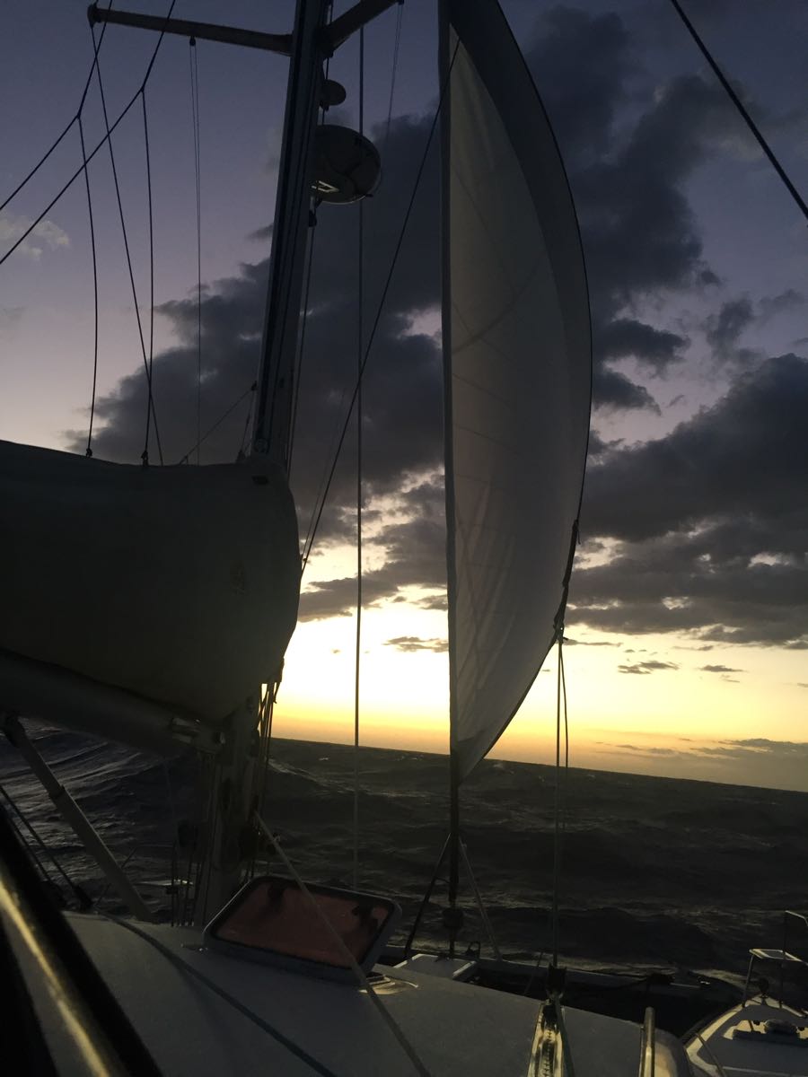 5F7DE21A-E039-473A-9845-4579CB91F5A6