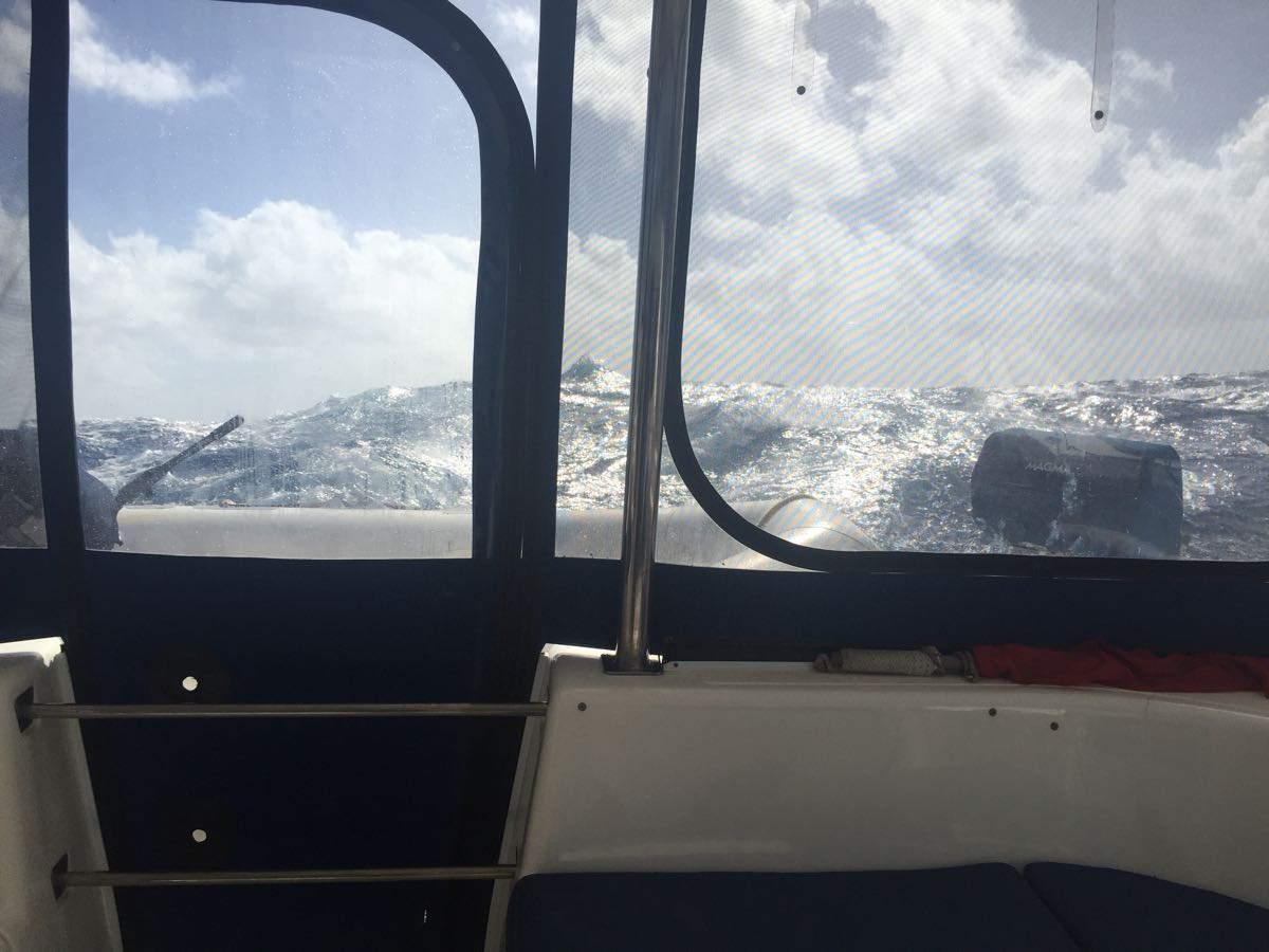 E28B5BA5-D52E-4272-B37D-A3C2763B1825