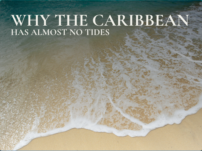 Why the Caribbean has virtually no tides