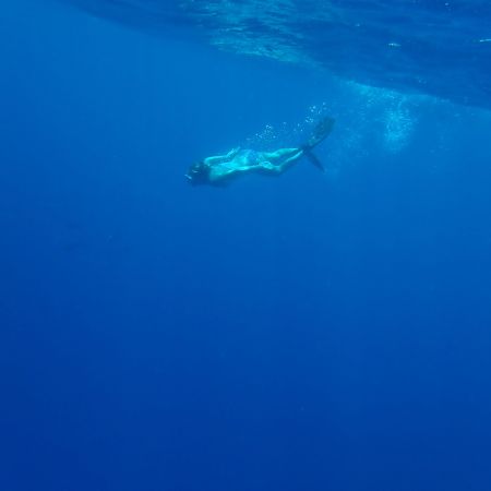 Betty from St Francis 50 catamaran Aphrodite swimming in Chuuk Lagoon.