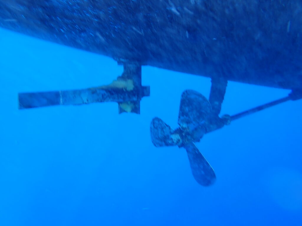 Losing a Rudder at Sea on a Catamaran