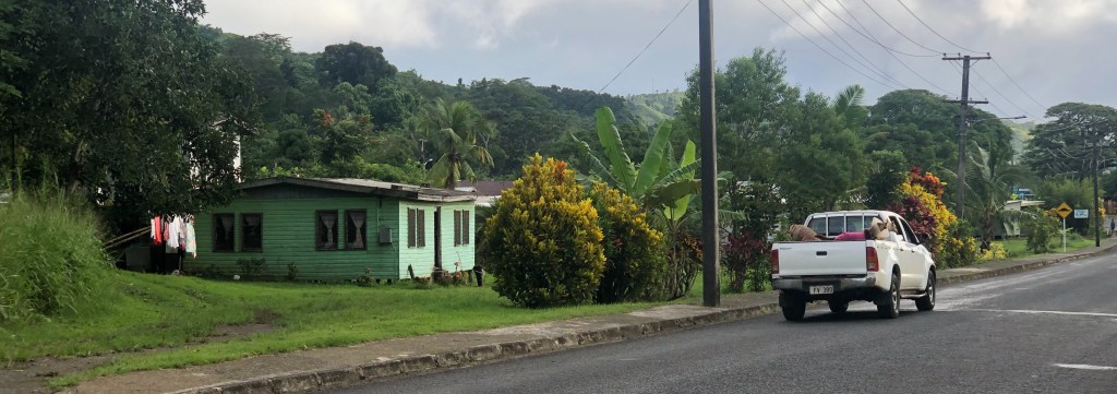 A green house with lush foliage on Main Street, Savusavu, Fiji with Dogs in a Truck. One of the dogs is wearing a cone as though it just had an operation.