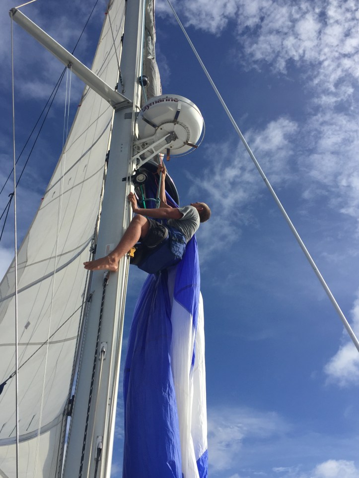 Paul up the mast untangling a sail
