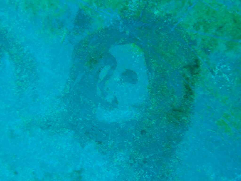 Underwater painting by Karen