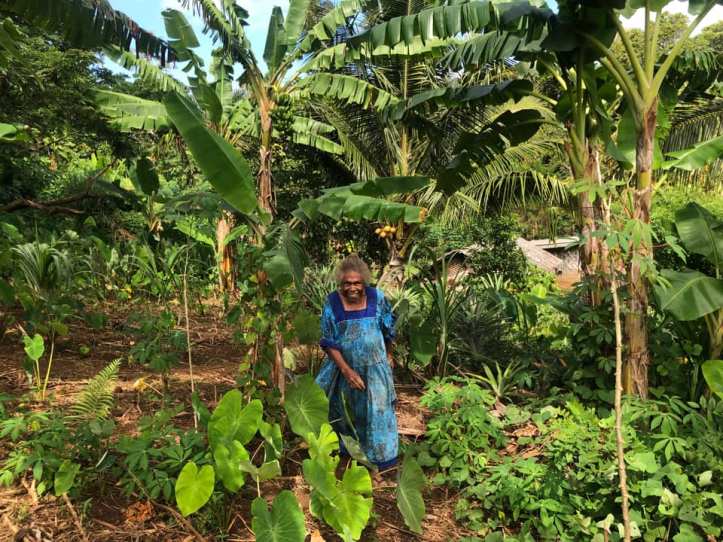 Margaret, a subsistence farmer on Pentecost Island, Vanuatu, standing in her lush garden surrounded by bananas and taro
