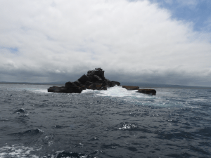 Crashing waves hit a craggy rock, which was the snorkeling site to see the penguins and sea lions.