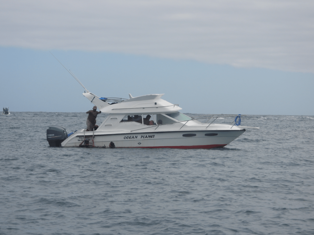 Galapagos day-trip tour boat