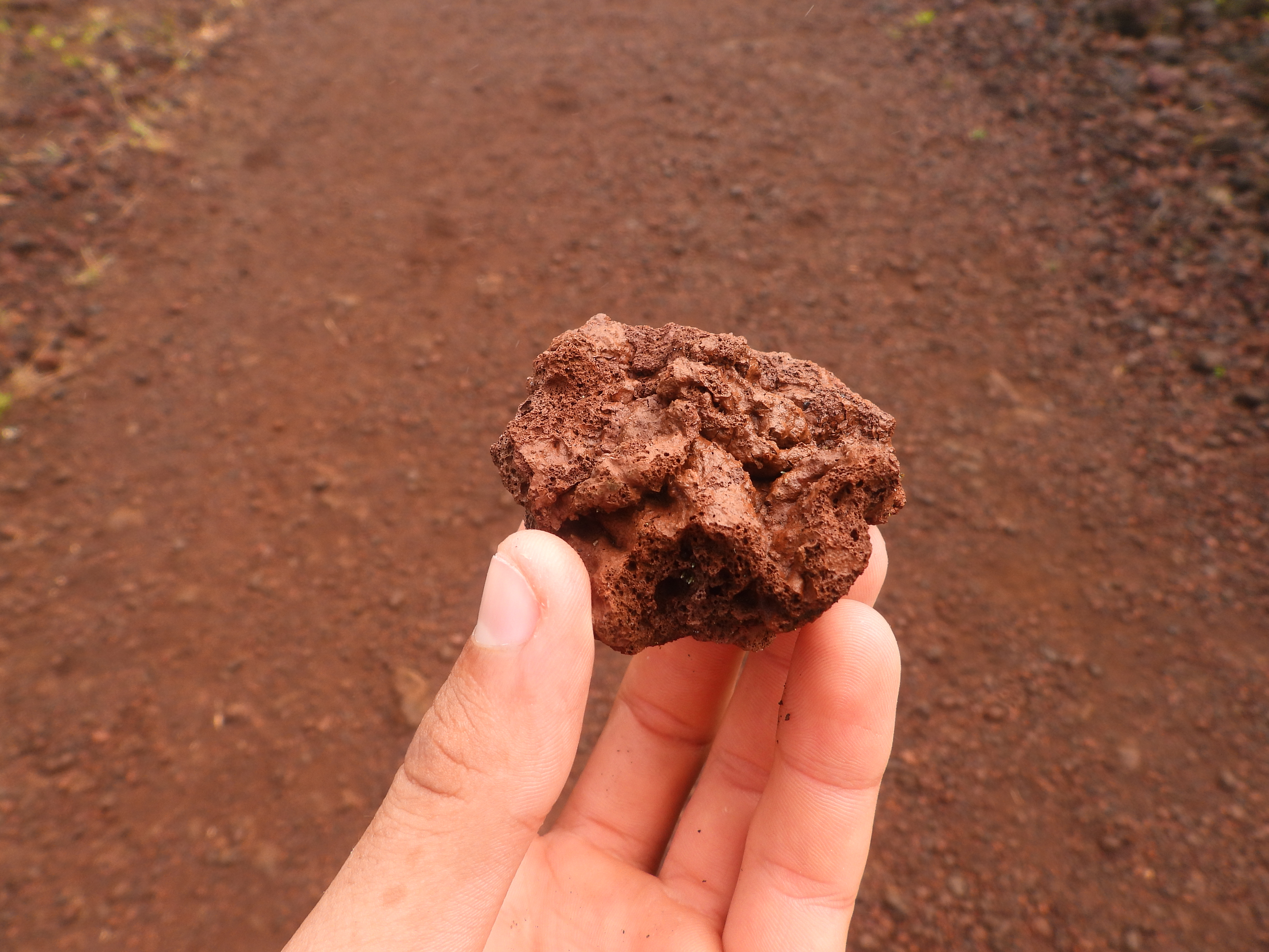 A hand holds a rust-colored, porous volcanic rock on the trail to Sierra Negra Volcano, Isabela Island, Galápagos. The red color comes from oxidation of iron minerals in older basalt flows.