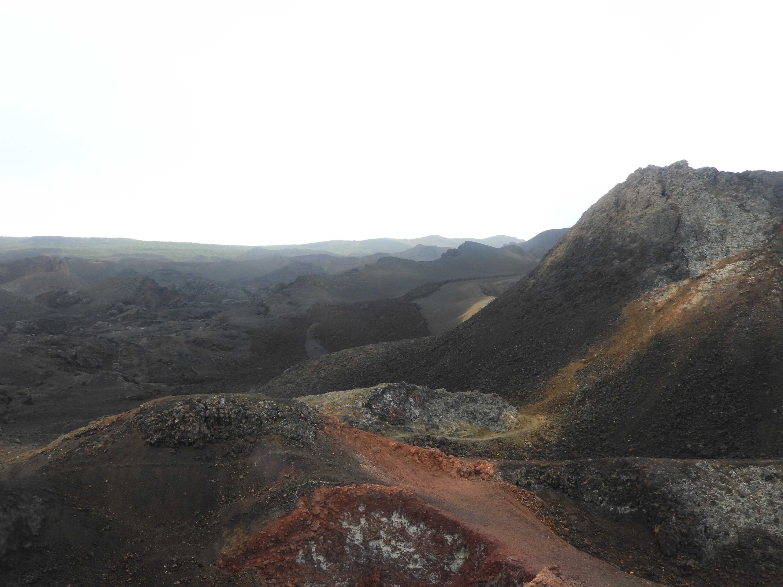 Sierra Negra: Hiking in Darwin’s Footsteps on a Galapagos Volcano