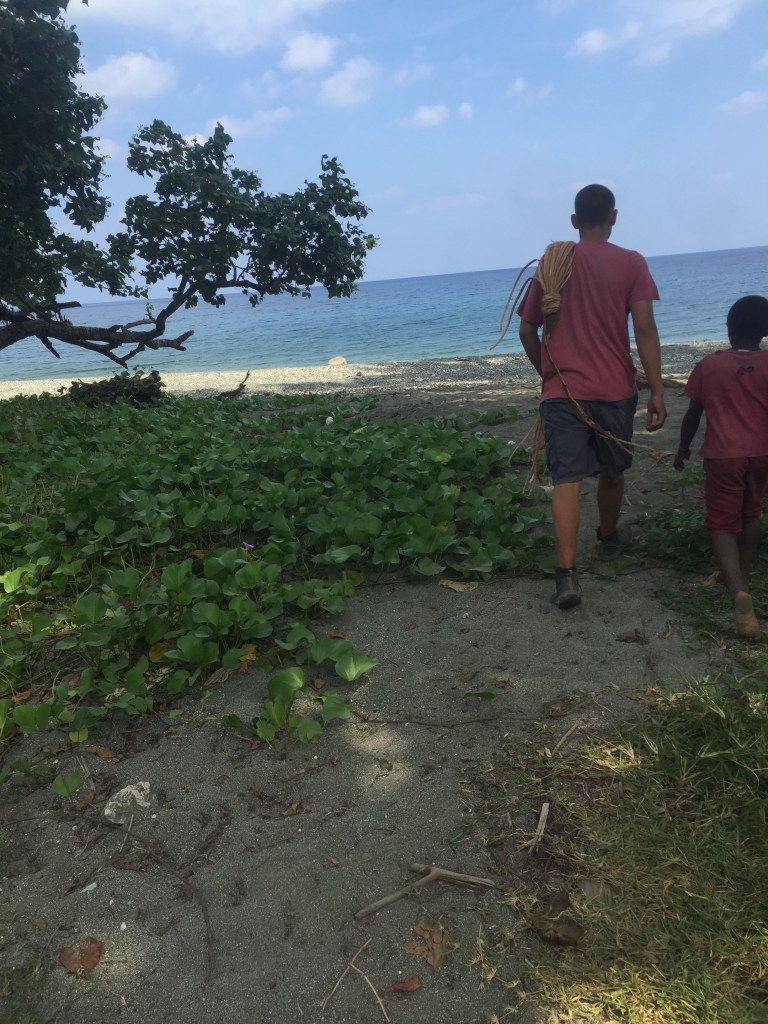 Paul walks with some vines  from the land diving event on Pentecost Island.