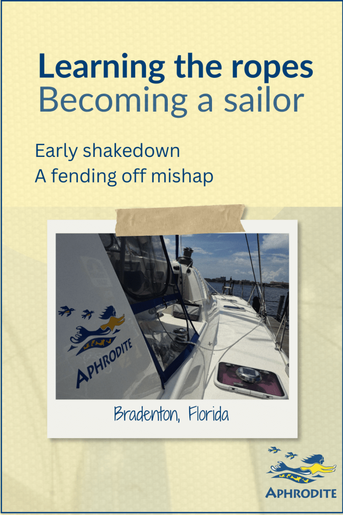 A picture taken from the helm of our St. Francis 50 catamaran, SV Aphrodite. It looks very shiny because it has just had the best polishing and waxing job ever.