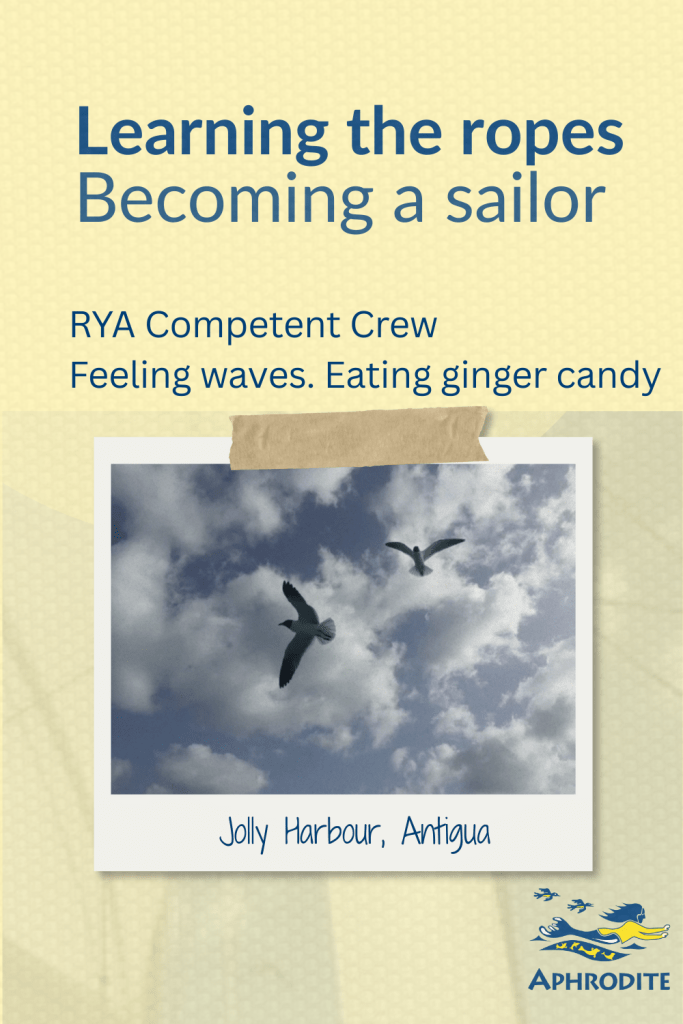 A picture of sea birds in Antigua. I took the photo while taking a Competent Crew course in Antigua.