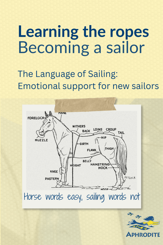 The Language of Sailing: I offer emotional support to the new sailor using a picture of a horse. If we can learn "withers" we can learn weather.