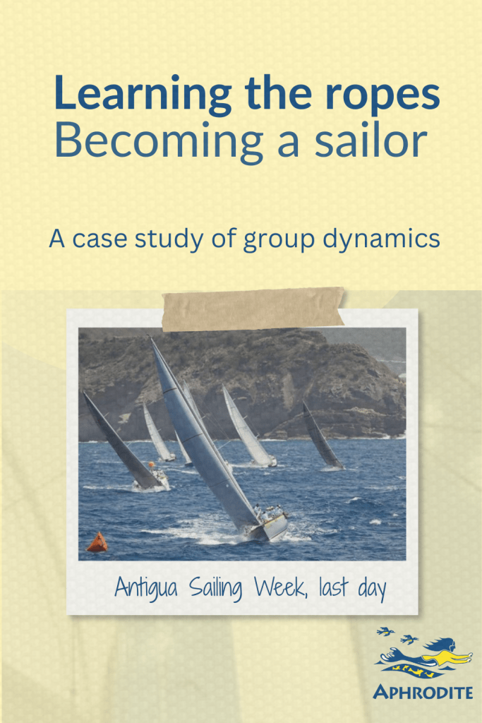 Big boats sometimes called superyachts racing at Antigua Sailing Week. Photo by Paul Wyeth.