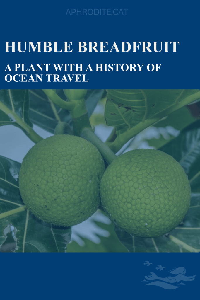 A book jacket type cover with a picture of breadfruit on it.