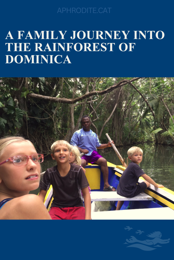 The kids of SV Aphrodite looking in amazement on a trip in Dominica on the Indian River where scenes of Pirates of the Caribbean was filmed.