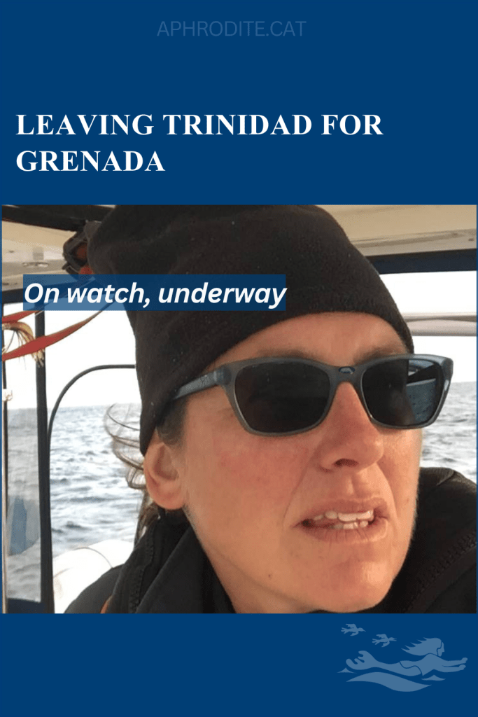 Lorraine at the helm of SV Aphrodite, a St. Francis 50 catamaran, on passage from Trinidad to Grenada.