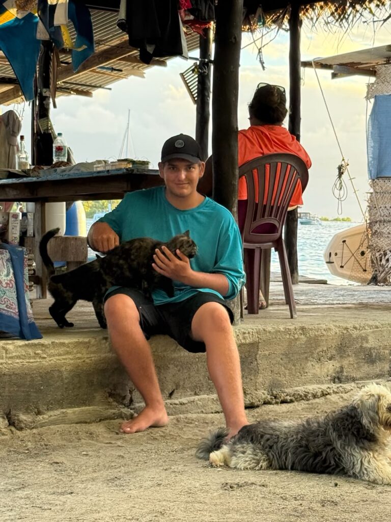 Paul cats french polynesia